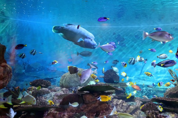 COEX水族館.jpg